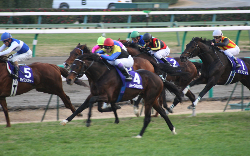 2006年有馬記念のディープインパクト