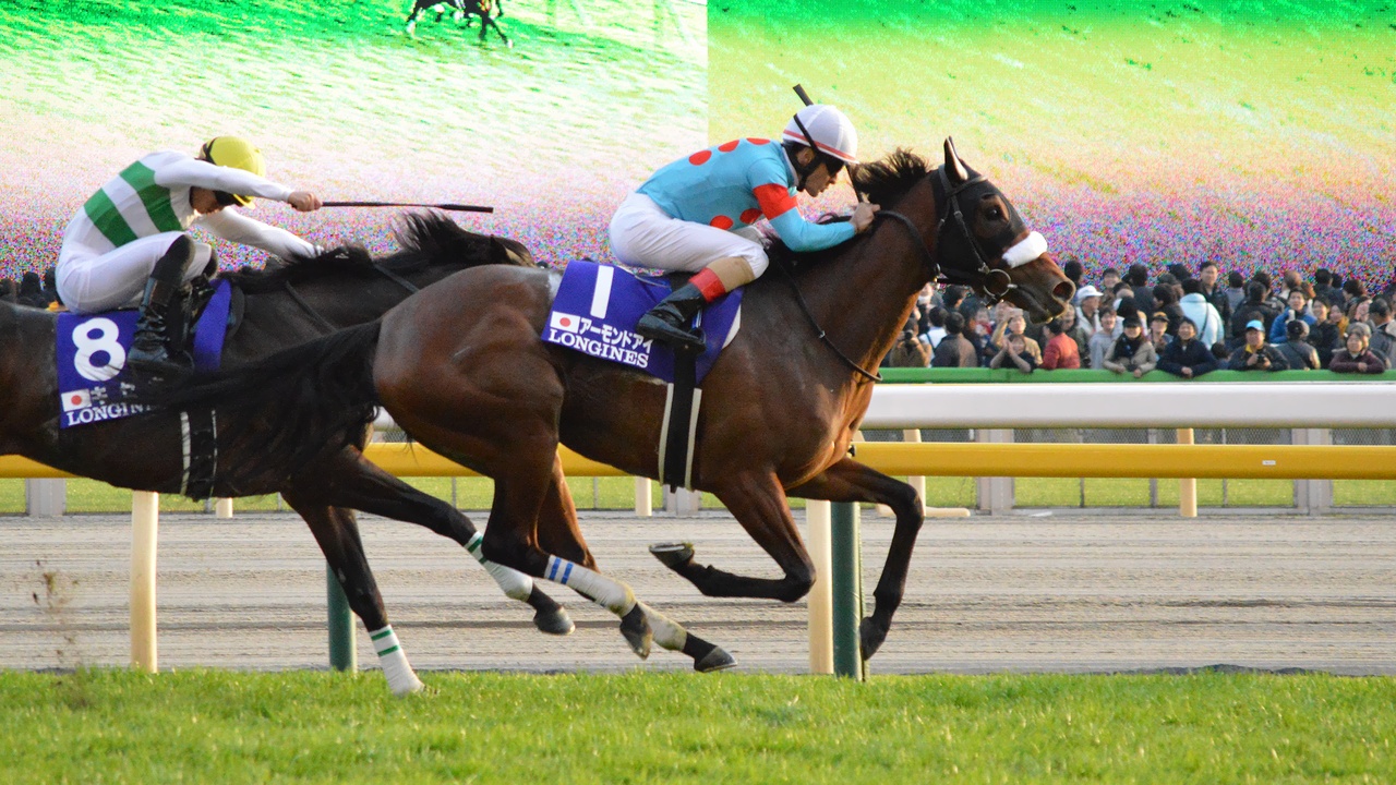 Almond Eye Japan Cup 2018(IMG1)