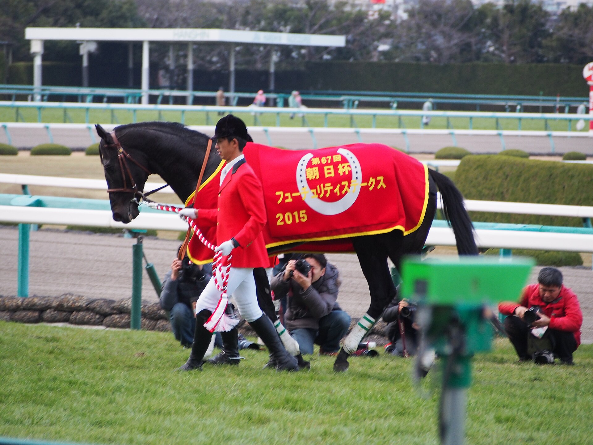 Asahi Hai Futurity Stakes winner Leontes (23805681951)