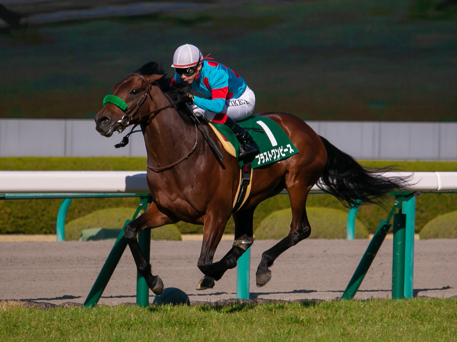 有馬記念を勝つ前のブラストワンピース