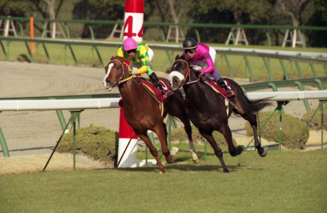 阪神大賞典で並ぶ2頭（右がナリタブライアン、左がマヤノトップガン）