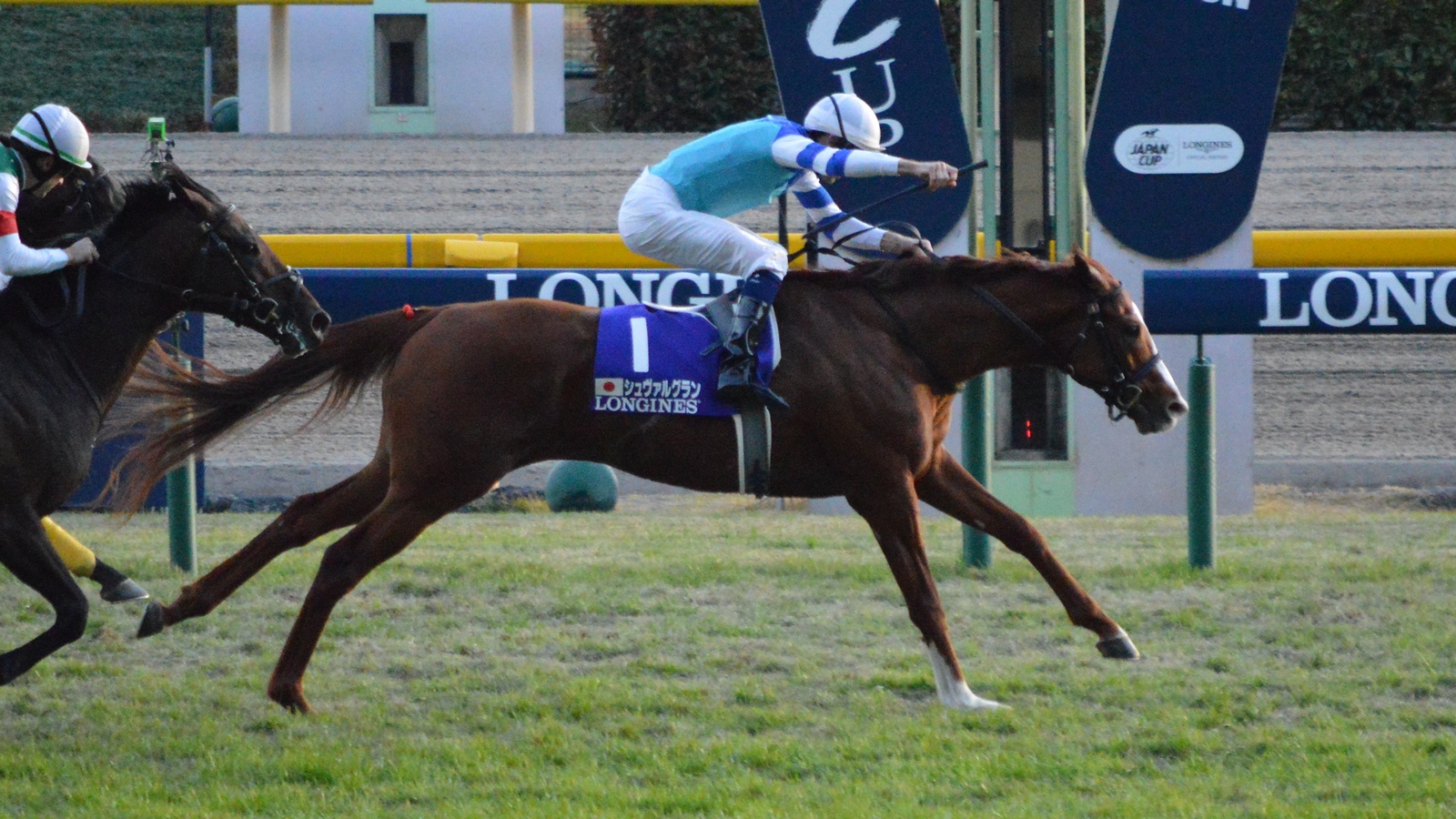 Cheval Grand Japan Cup 2017(IMG1)