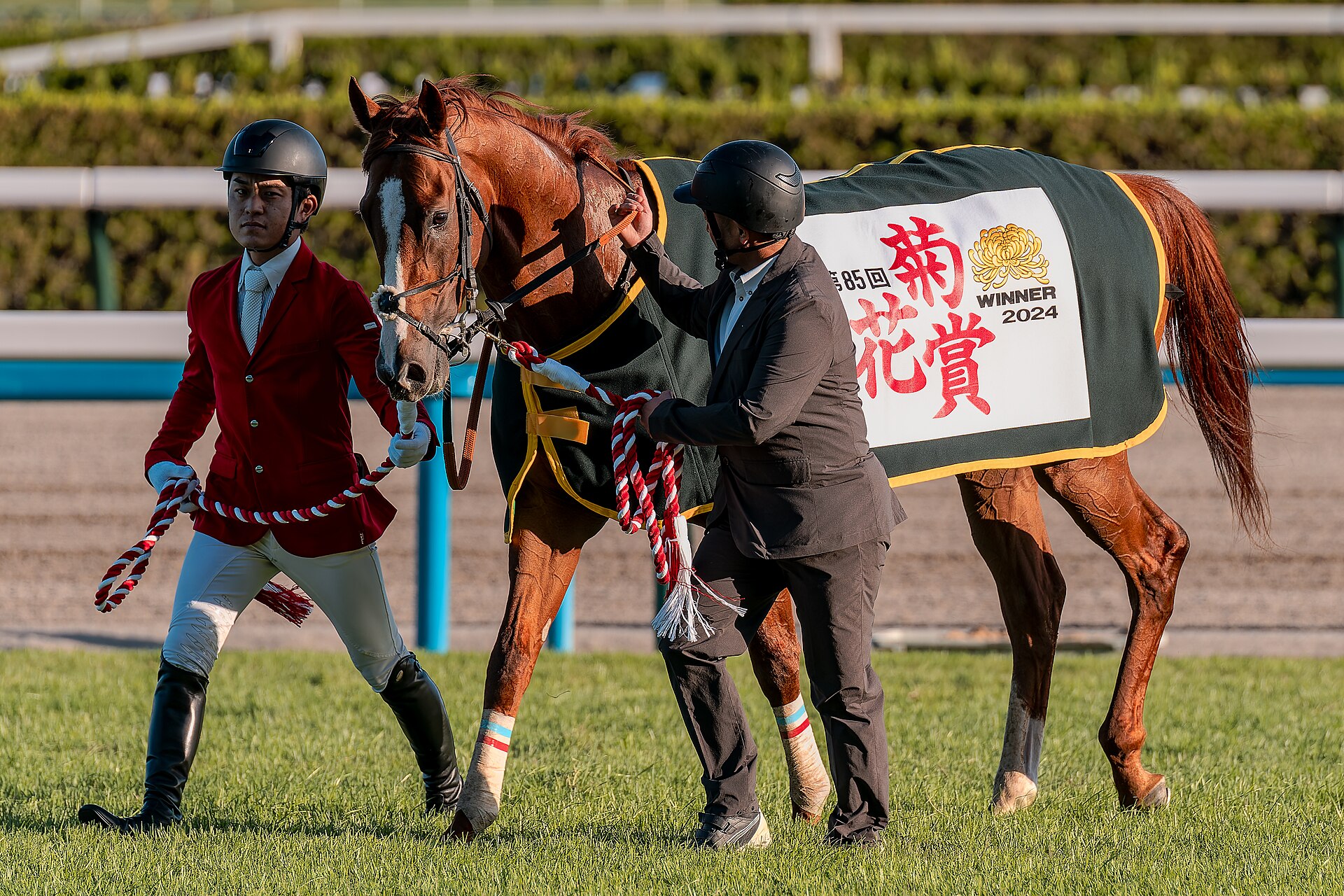 菊花賞優勝時のアーバンシック