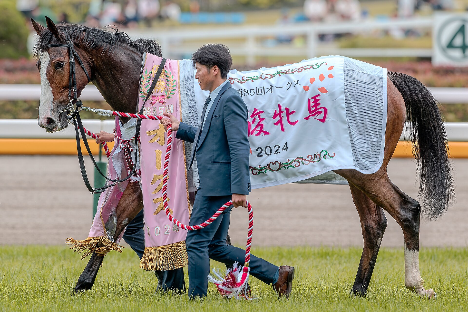 優駿牝馬を勝ったチェルヴィニア