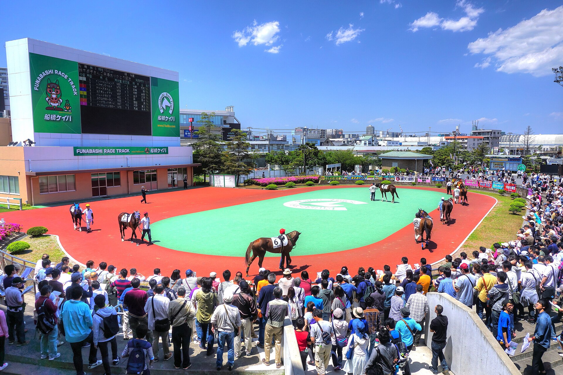 船橋競馬場のパドック