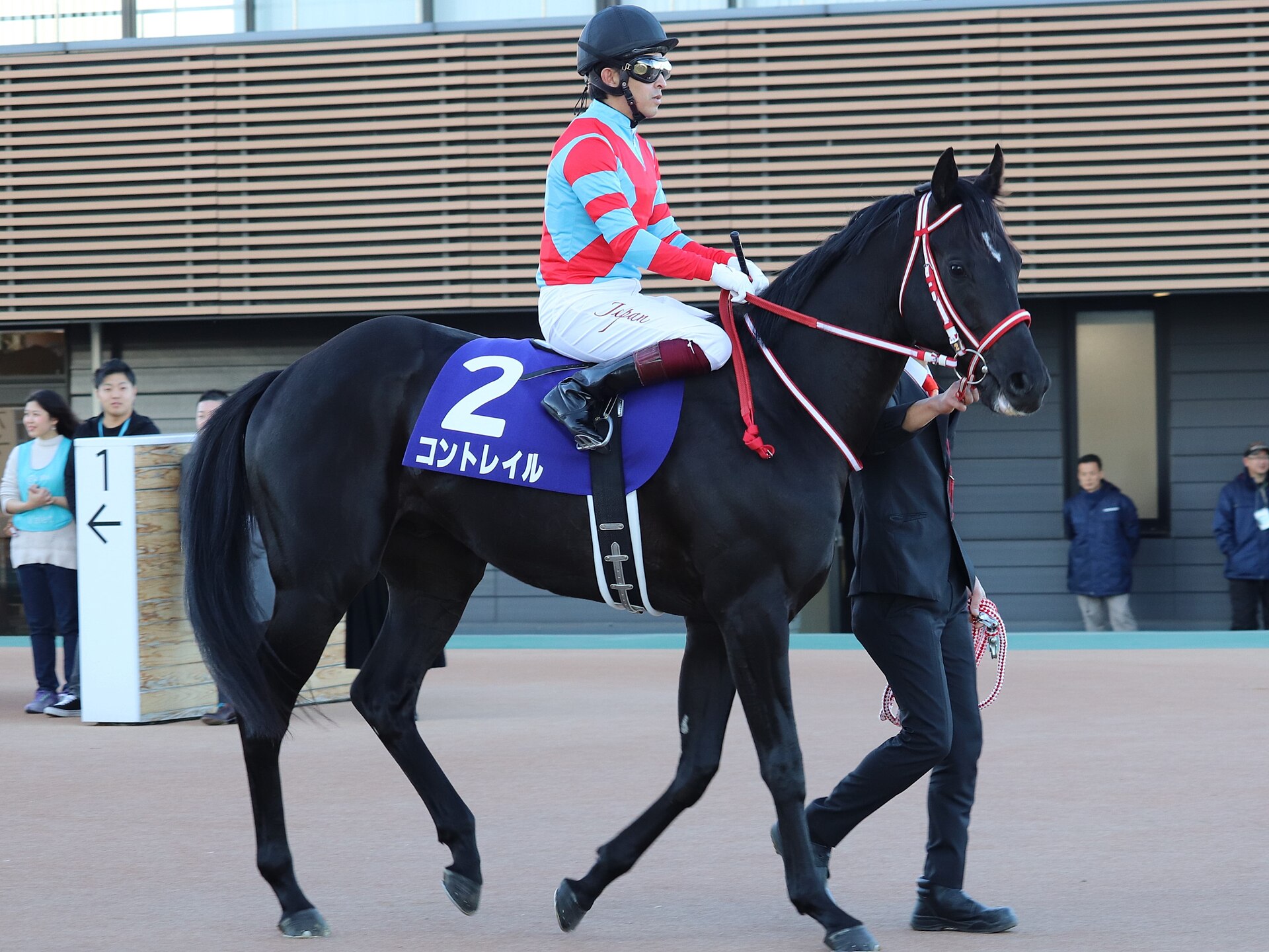 Contrail 2019 hopeful stakes honbaba nyujyou