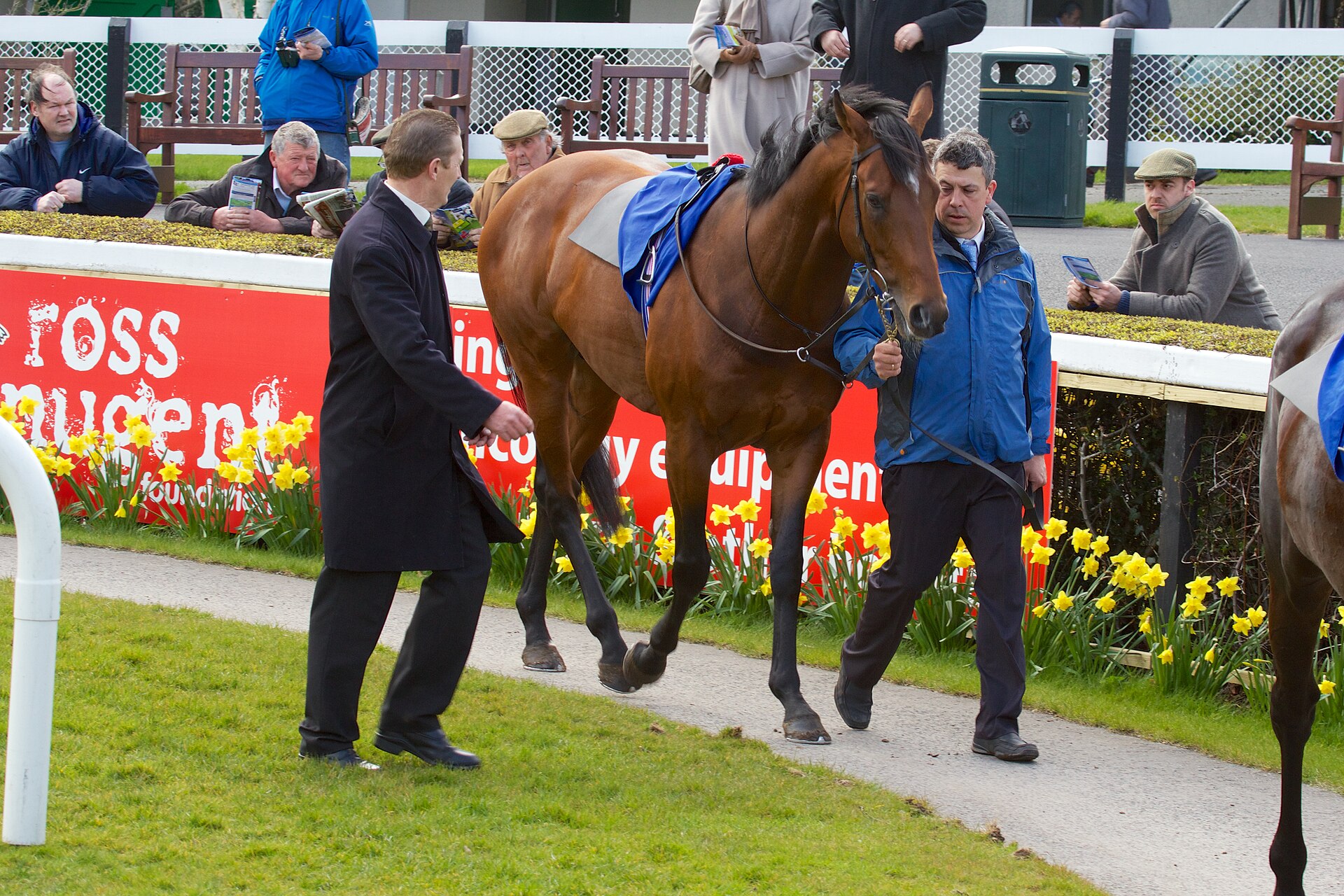 Declaration of War