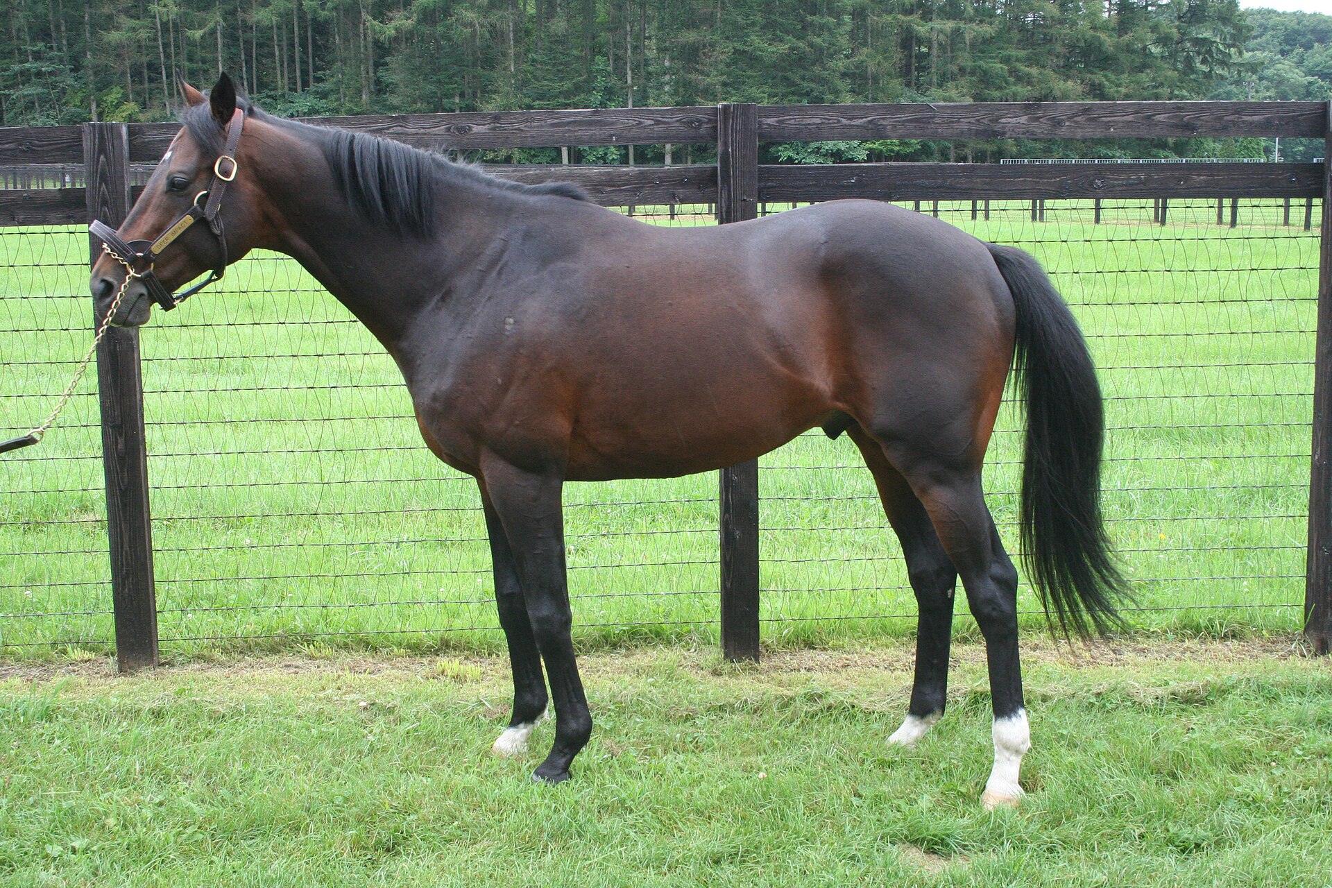 Deep Impact 20090813
