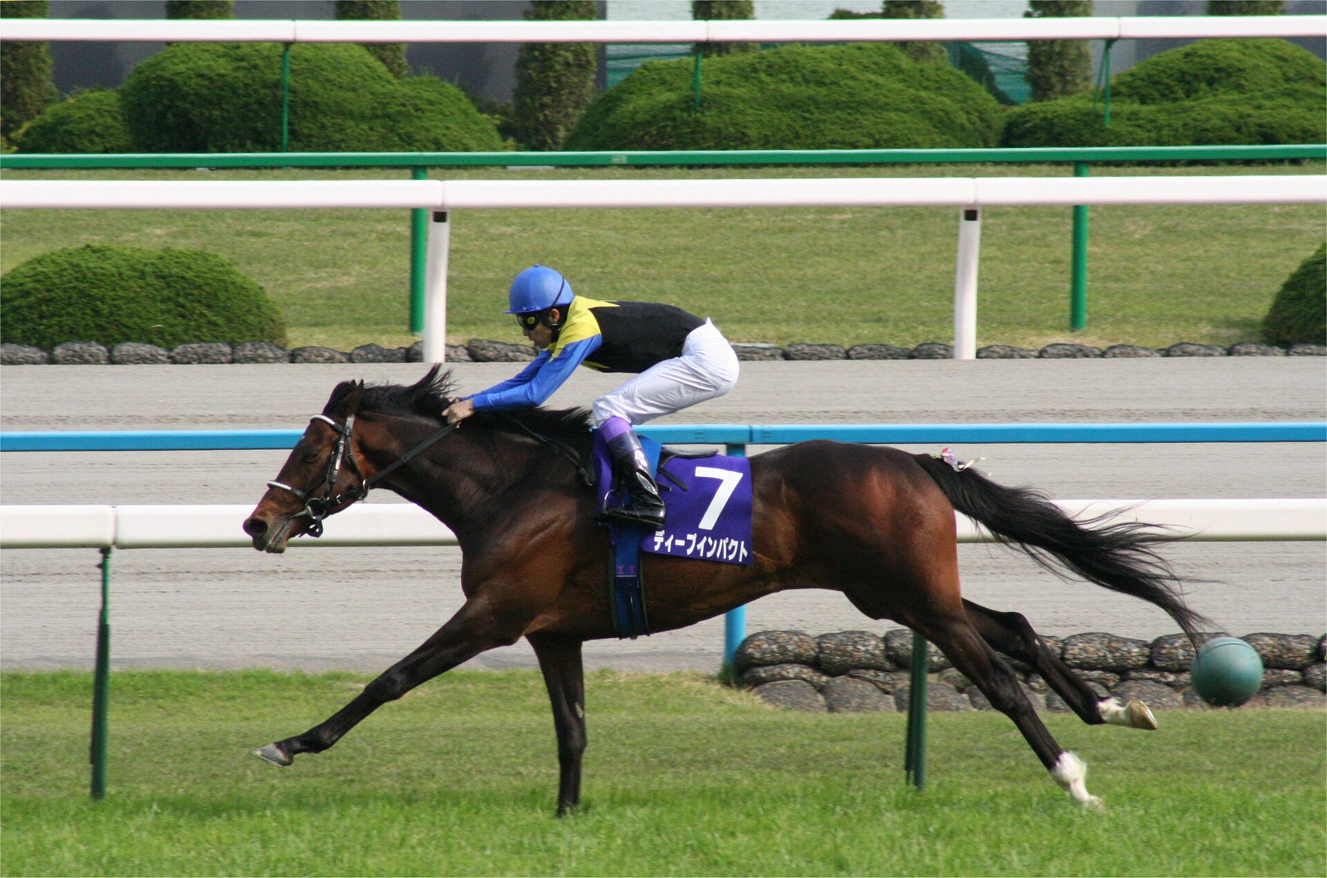 2006年天皇賞春のディープインパクト