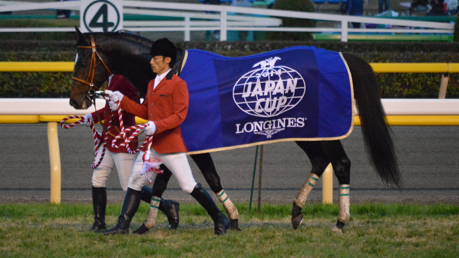 Epiphaneia Japan Cup 2014(IMG3)