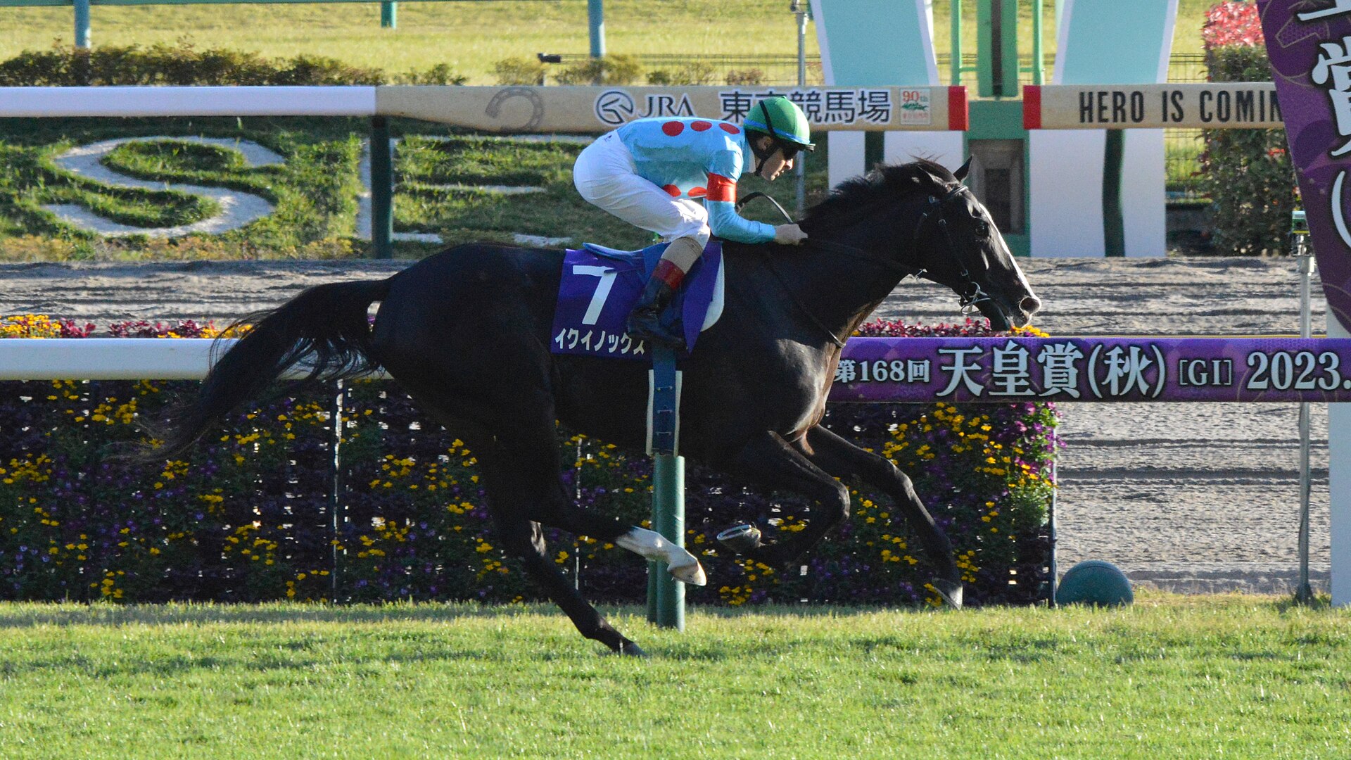 Equinox Tenno Sho(Autumn) 2023(IMG1)