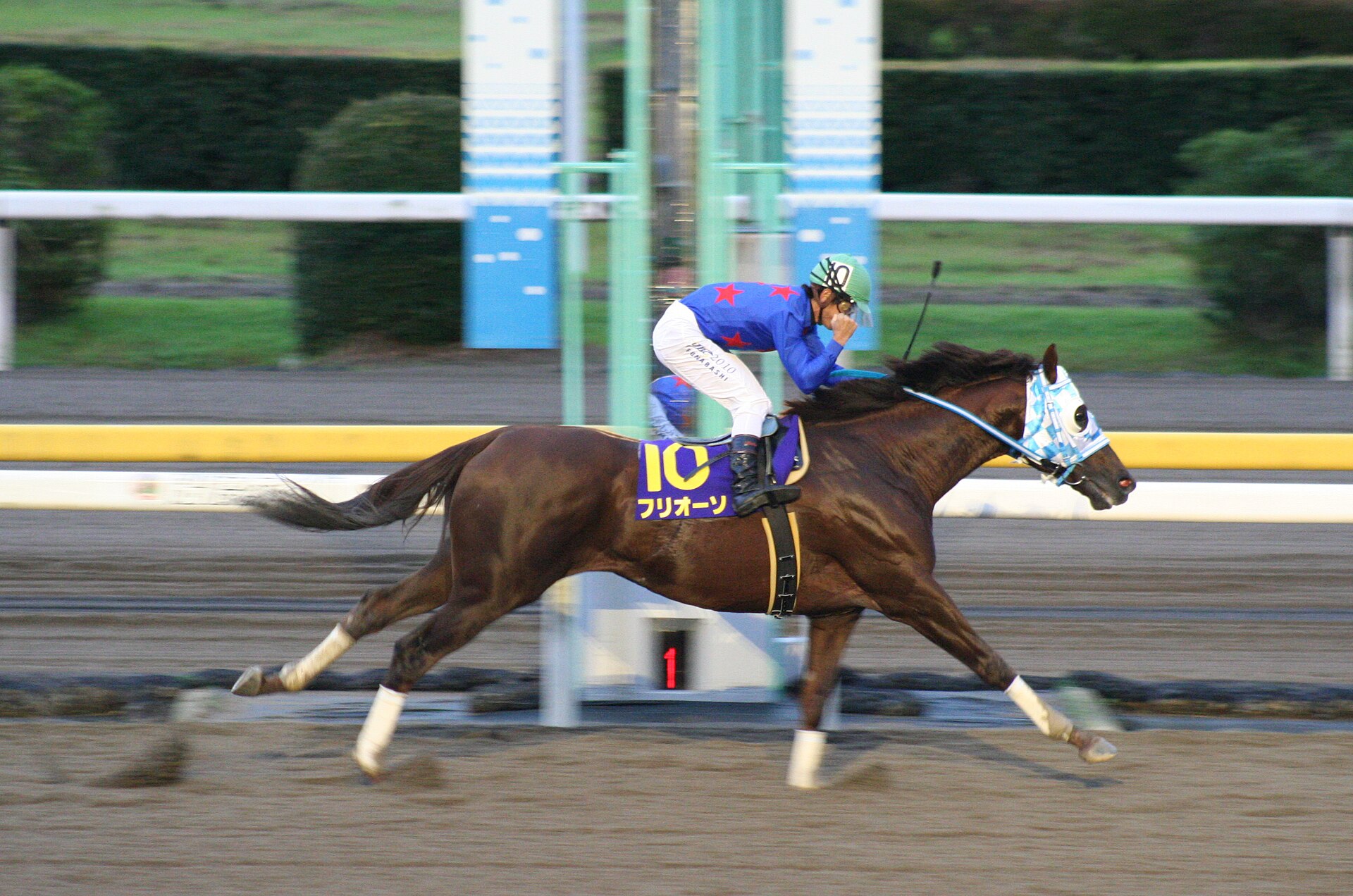Furioso 20100923R1