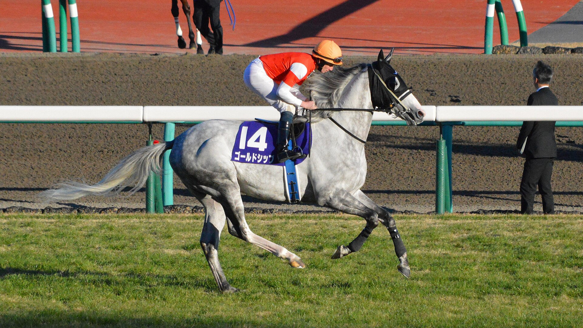 Gold Ship Arima kinen 2013
