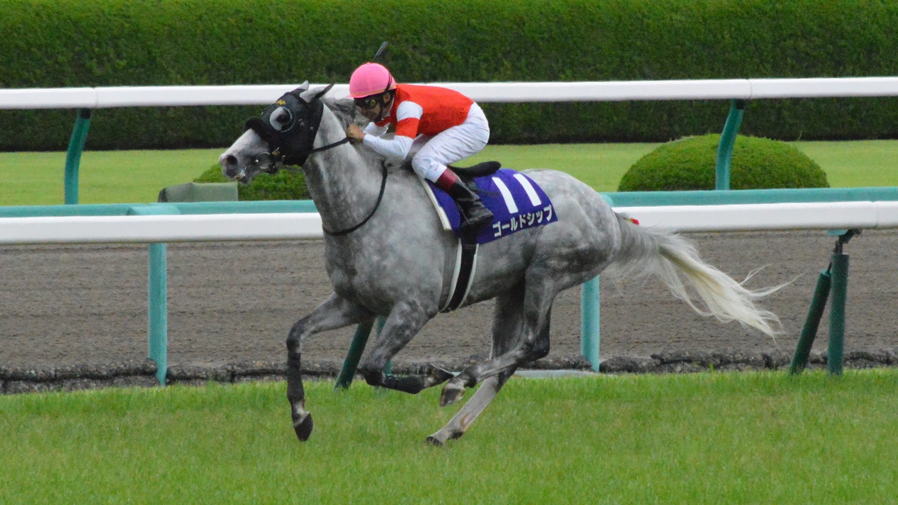 Gold Ship Takarazuka kinen 2014