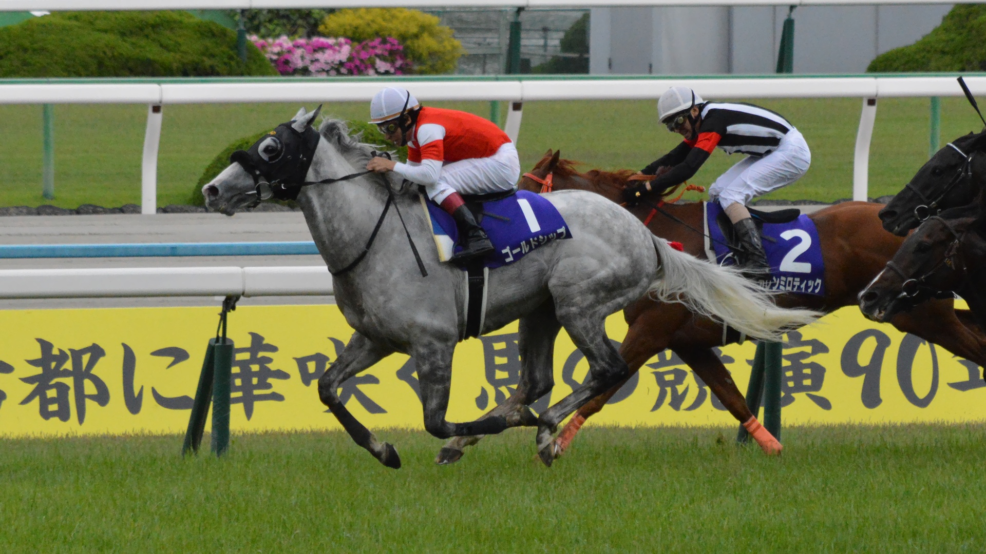 2015年天皇賞春のゴールドシップ