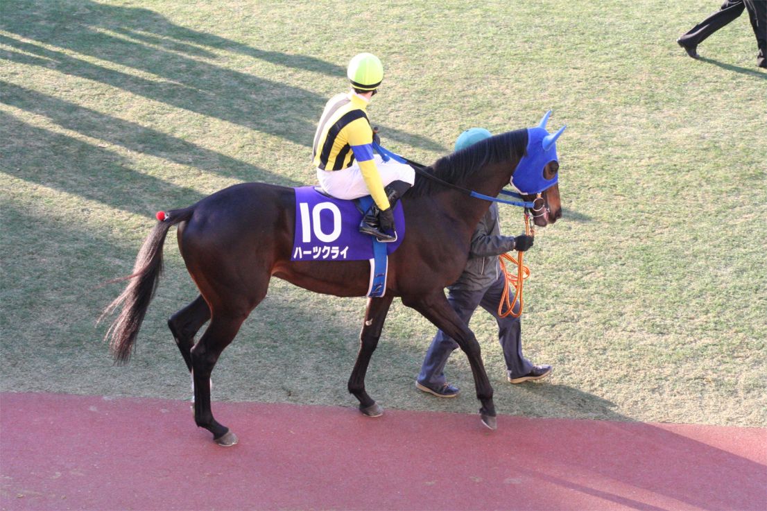 Heart's Cry 20051225P01
