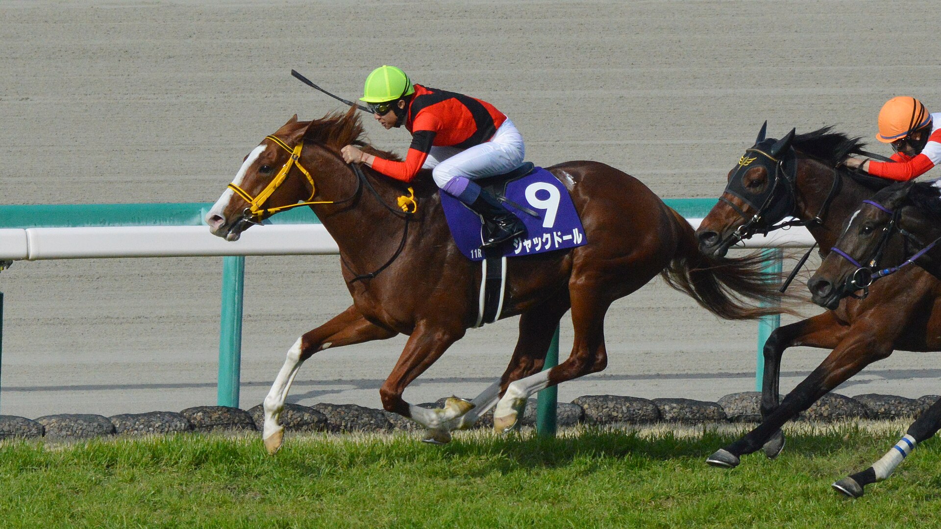 Jack d'Or Osaka Hai 2023(IMG1)