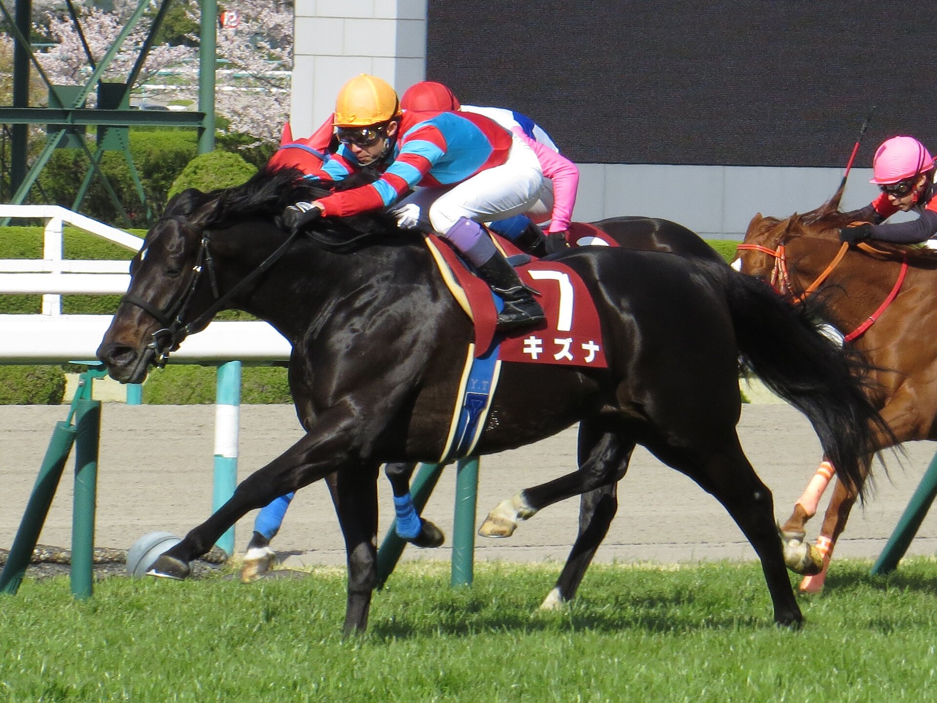 Kizuna IMG 7021-2 20140406
