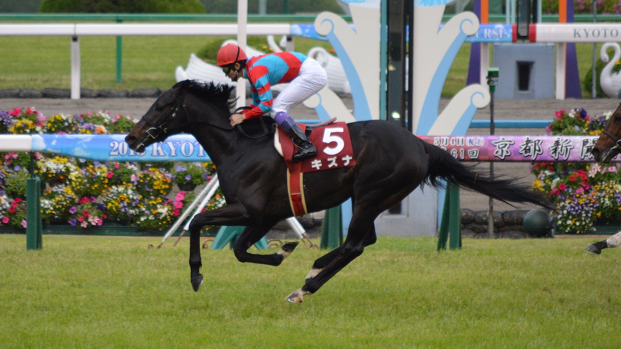 Kizuna Kyoto Shimbun Hai 2013