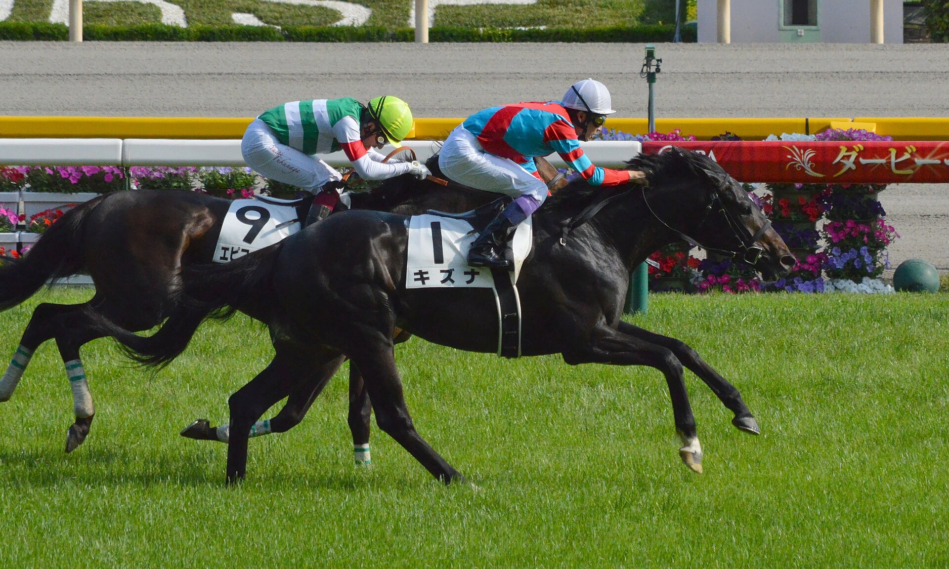 Kizuna Tokyo-Yushun 2013(IMG1)