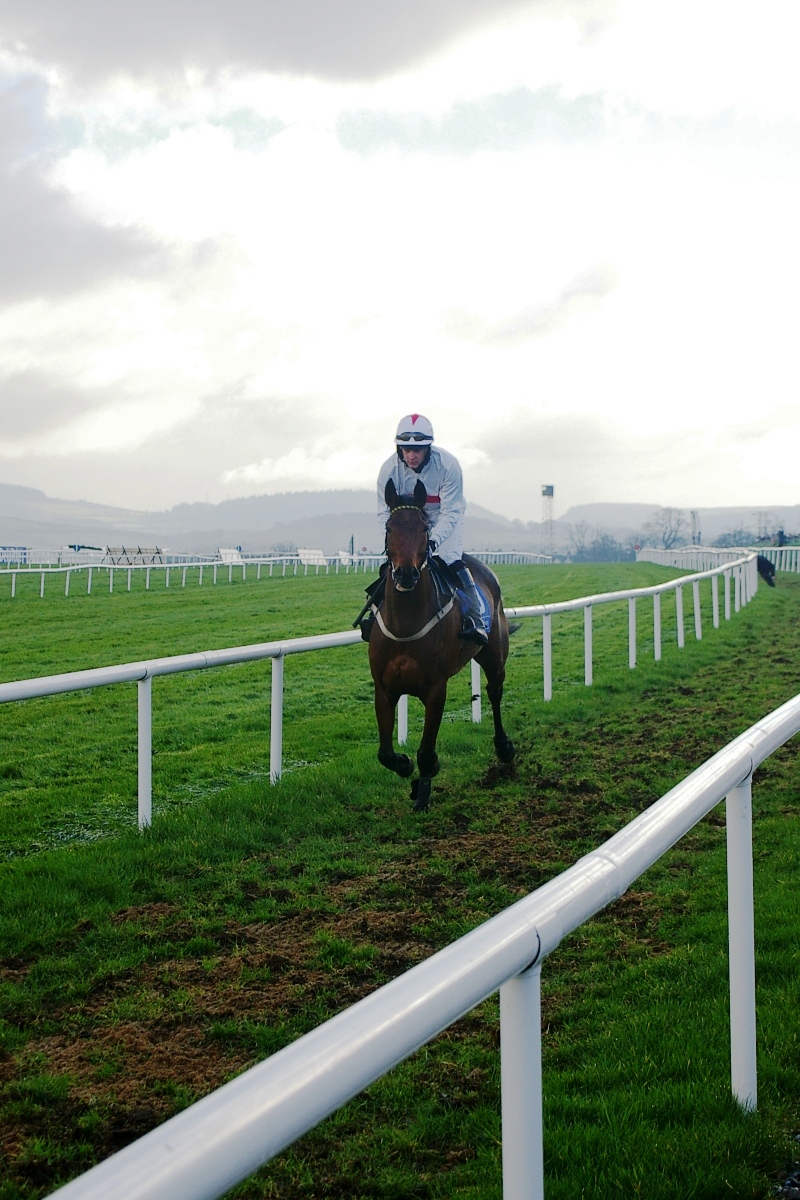 Leopardstown Racecourse2-04
