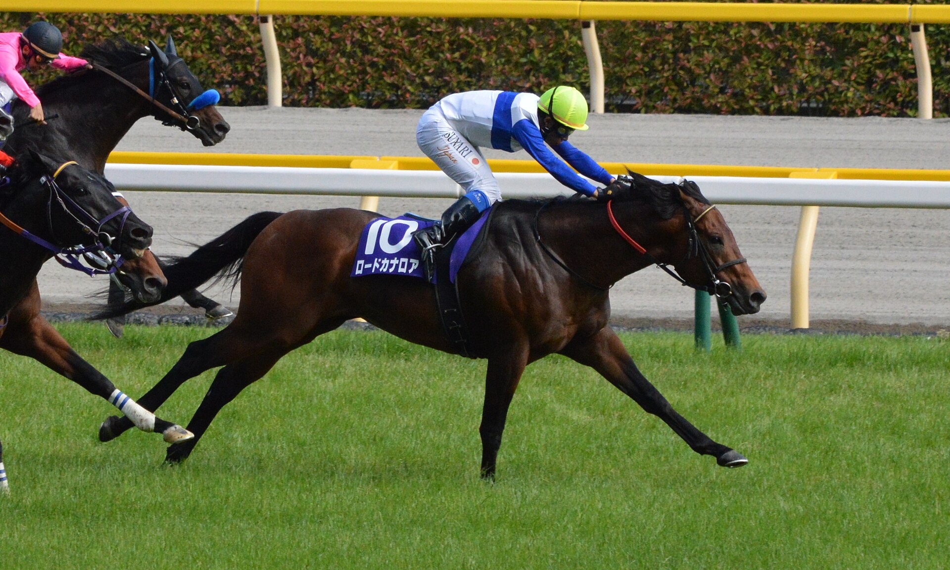 Lord Kanaloa Yasuda kinen 2013(IMG1)