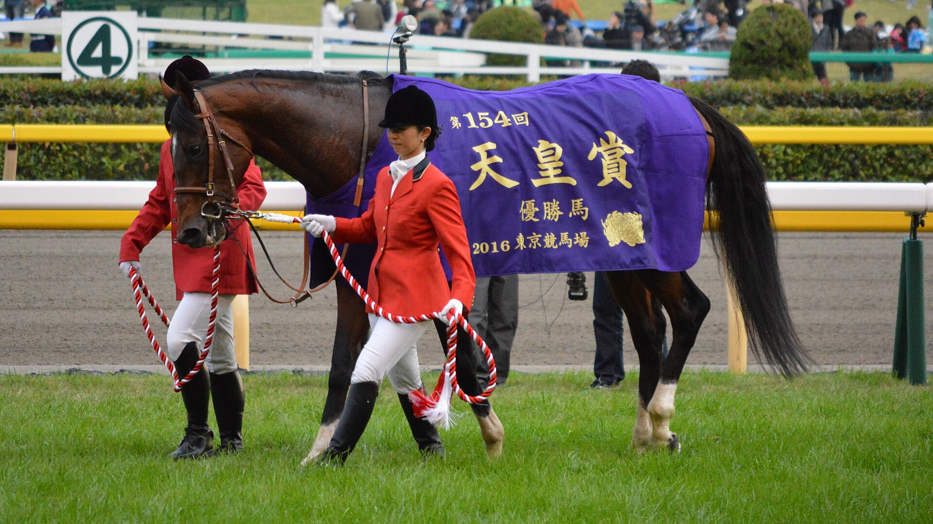 Maurice Tenno Sho(Autumn)2016(IMG2)