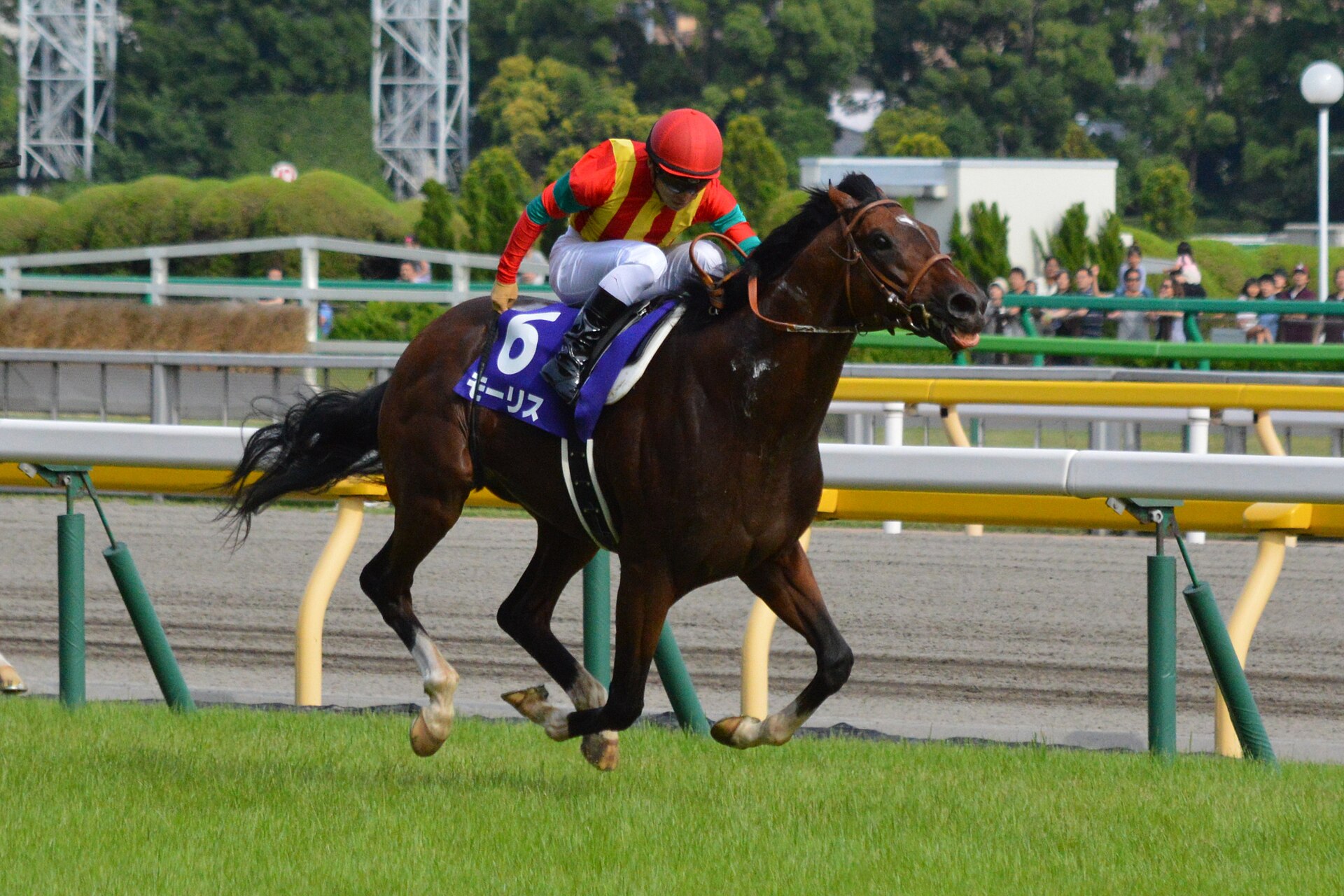 Maurice Yasuda kinen 2015(IMG1)