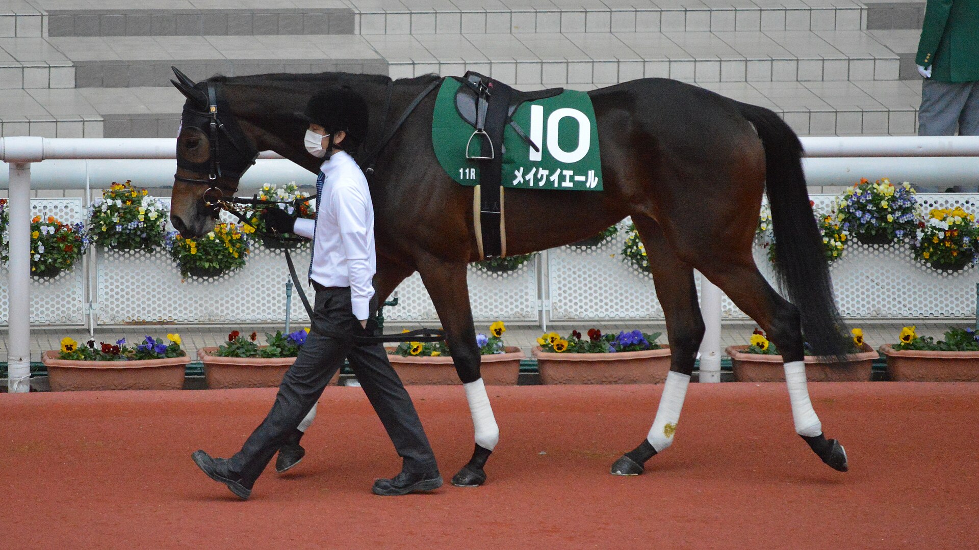Meikei Yell Fantasy Stakes 2020(IMG1)