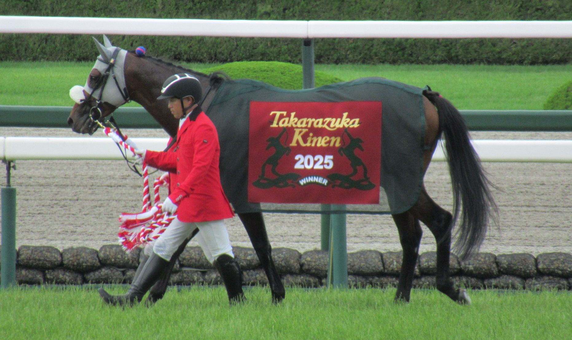 Meisho Tabaru-2025-6-15
