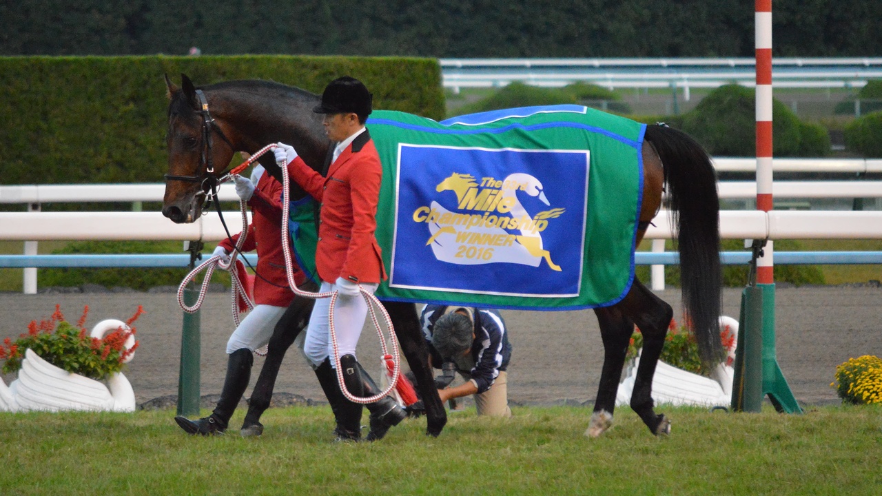 Mikki Isle Mile Championship 2016(IMG2)