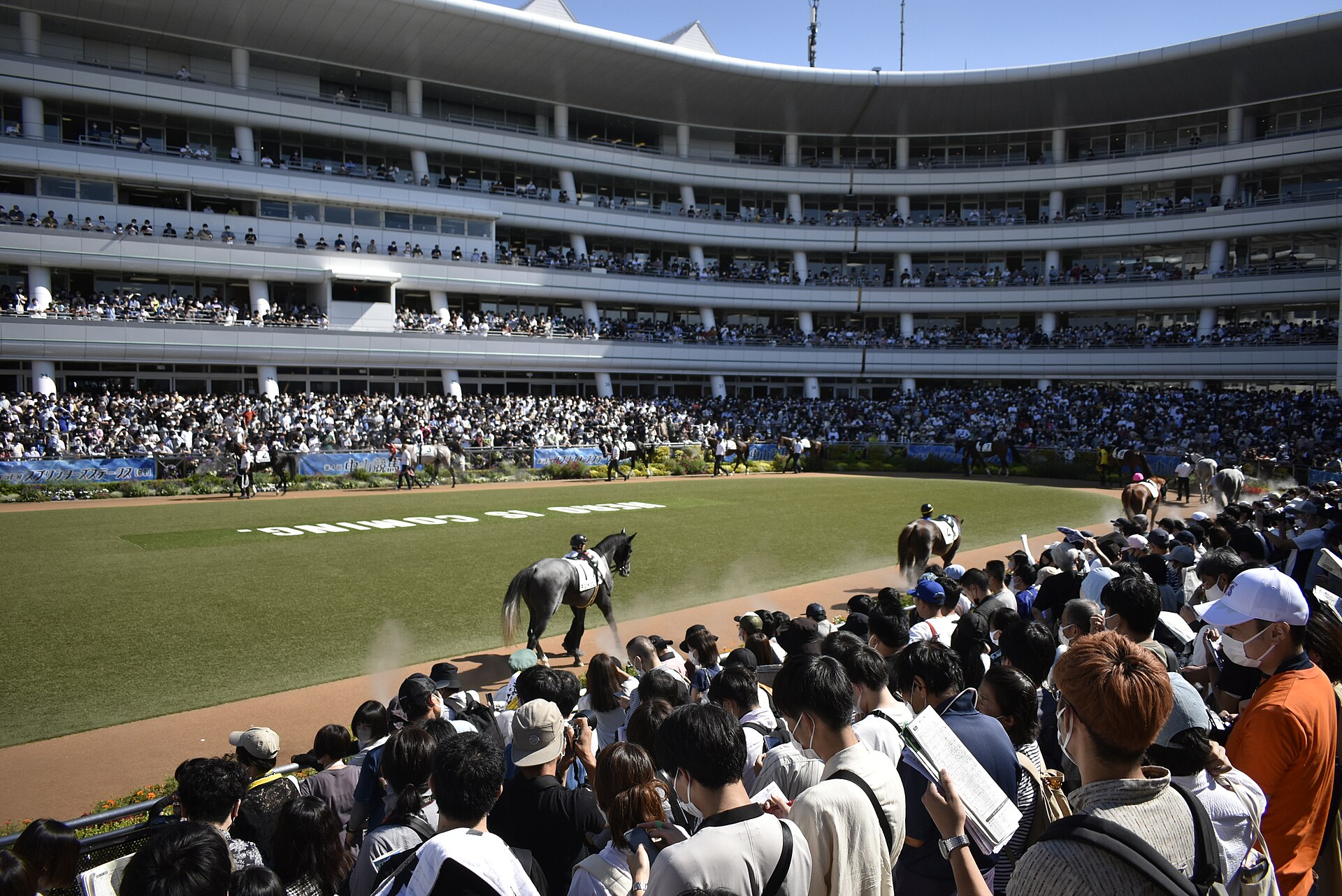 Nakayama Racecourse 20221002a14