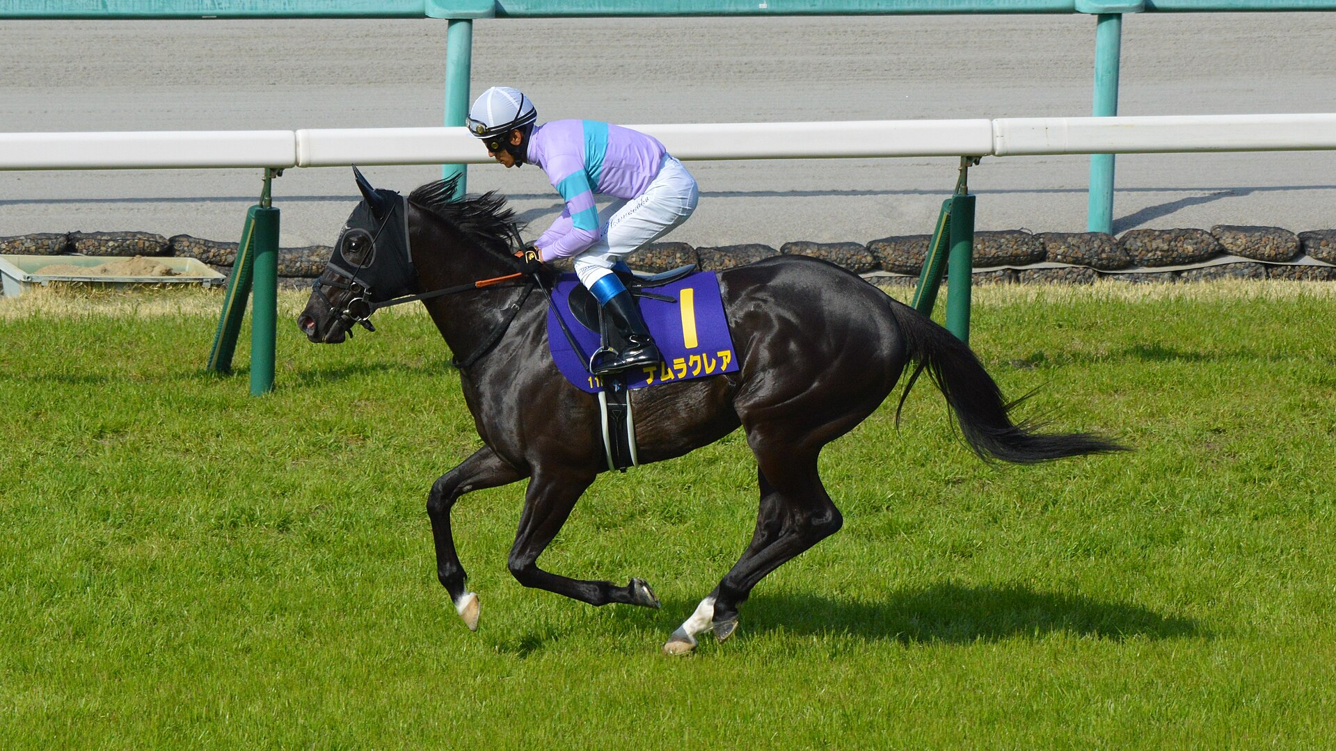 Namura Clair Oka Sho 2022