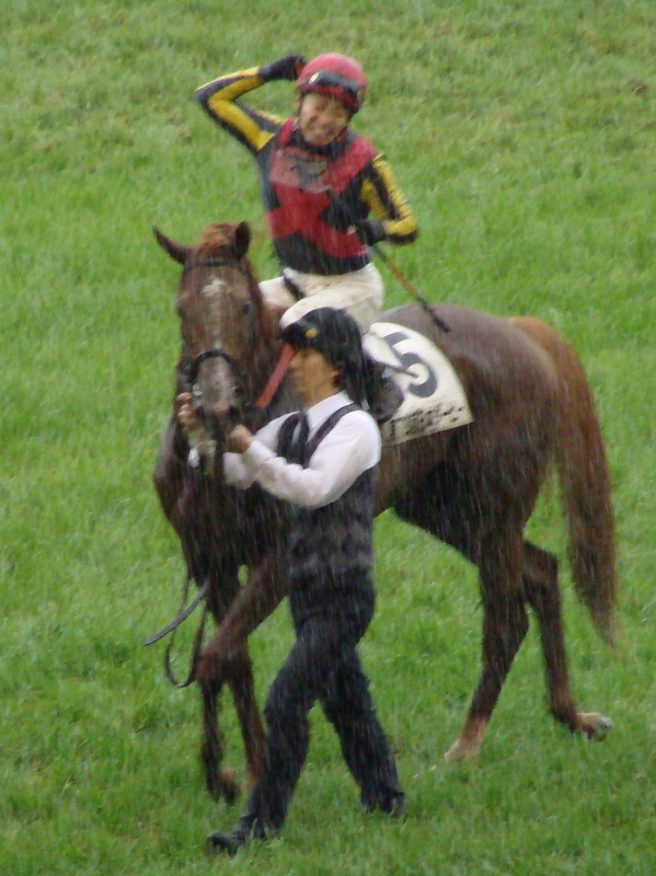 Orfevre (The 78th Tokyo Yushun)