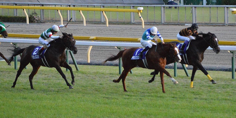 Rey de Oro Japan Cup 2017