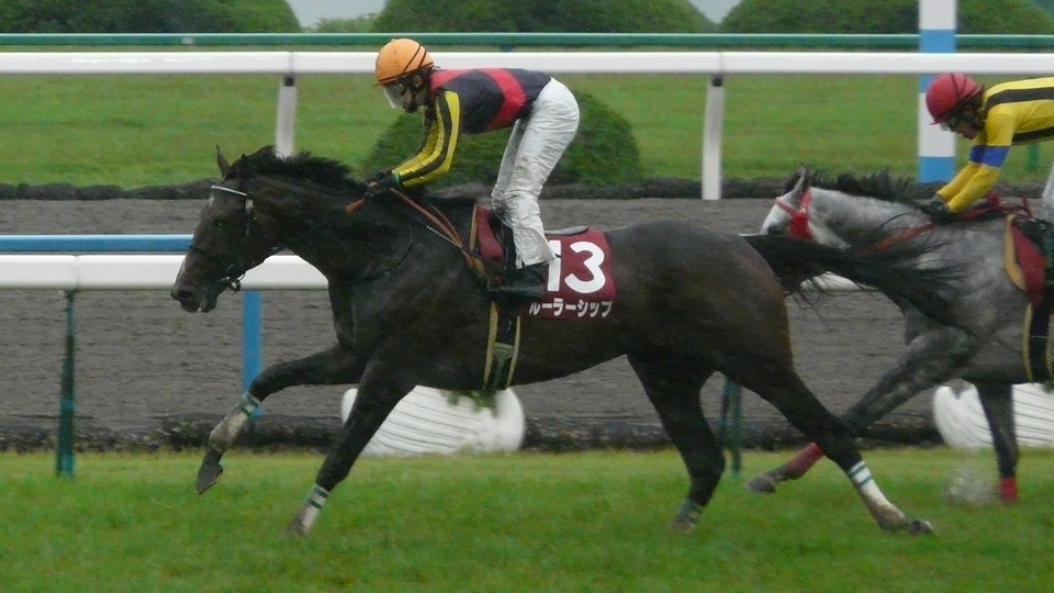Rulership20110528(1)