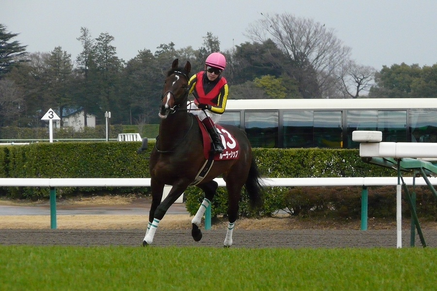 Rulership20120324