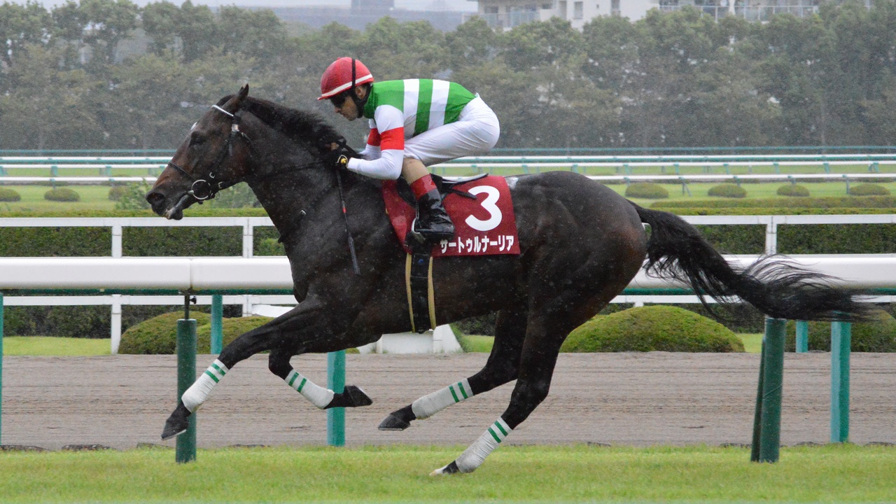 Saturnalia Kobe Shimbun Hai 2019(IMG1)