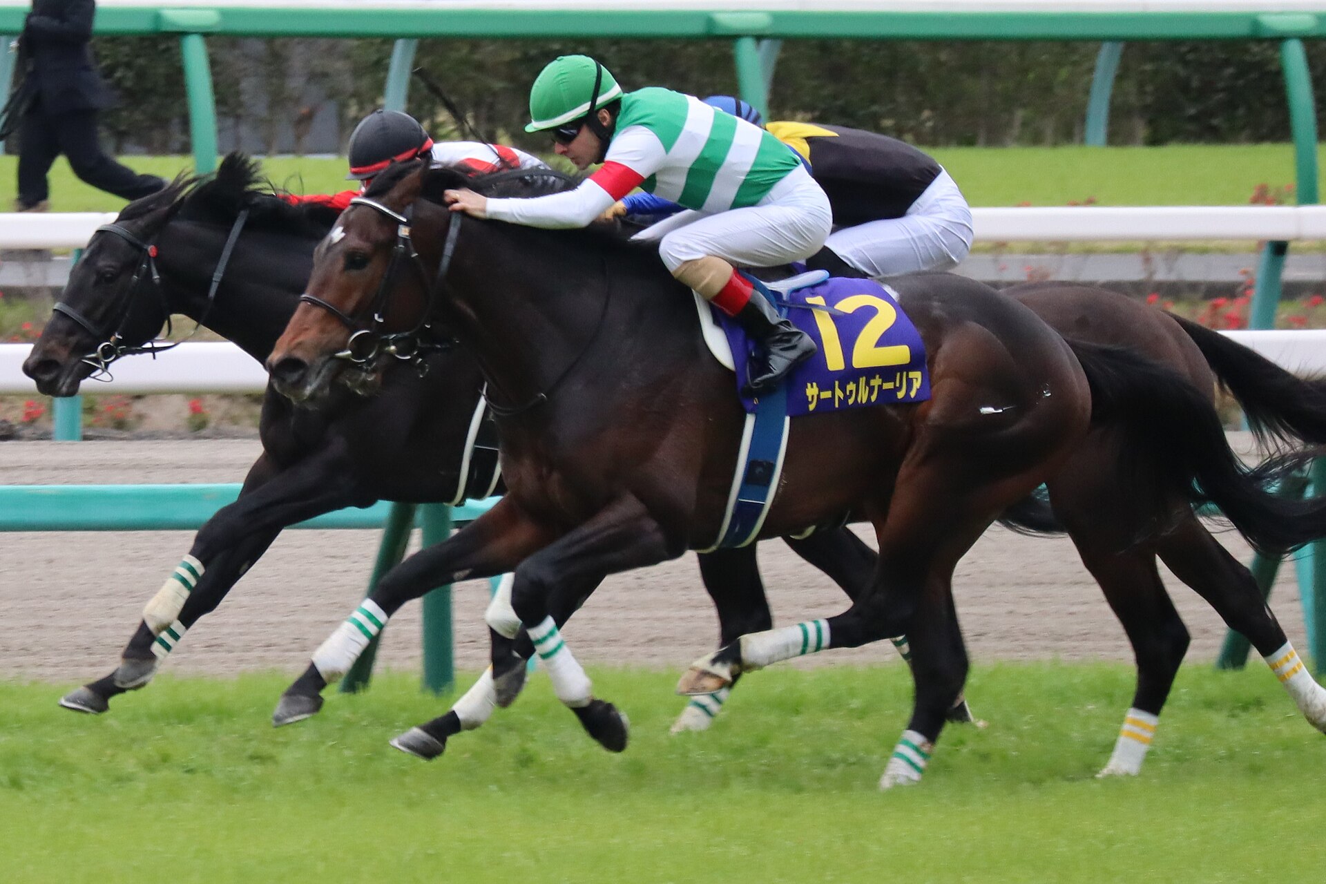 Saturnalia(Satsuki sho)