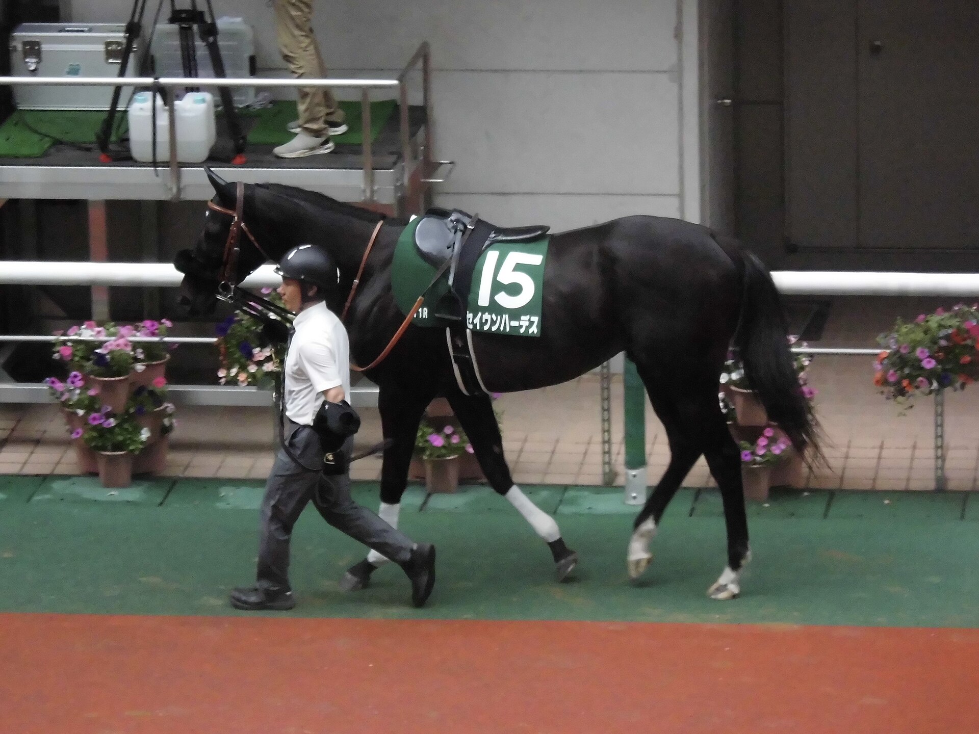 Seiun Hades 2023 02