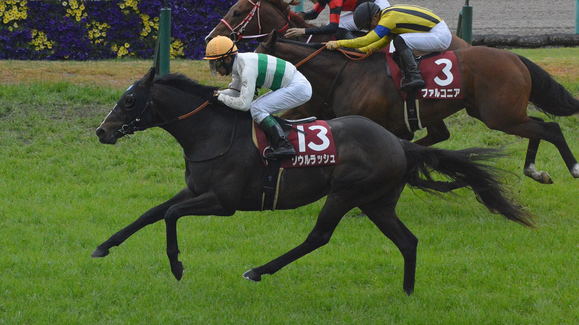 Soul Rush Yomiuri Milers Cup 2022(IMG1)