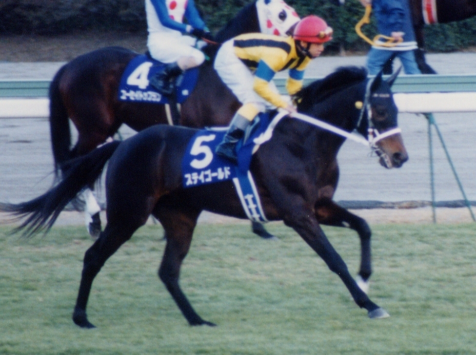 1999年有馬記念のステイゴールド
