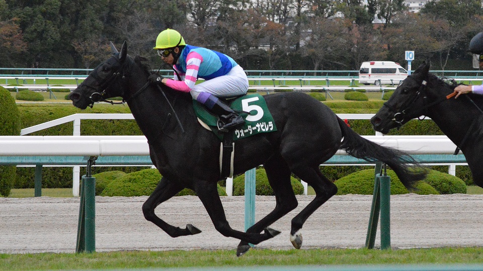 Water Navillera Fantasy Stakes 2021